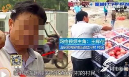 蜜桃网视频,揭秘甜蜜瞬间，感受青春活力