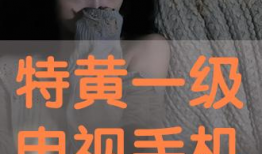 特黄视频,一场视觉与心理的双重冲击