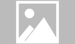 免费成人在线视频,免费成人在线视频的精彩世界