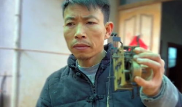 鸟哥视频,揭秘鸟类世界的奥秘与魅力