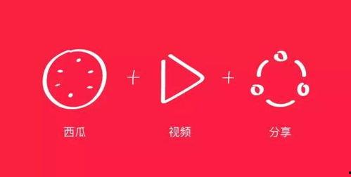 西瓜视频,短视频时代的创新与探索